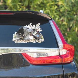 Adesivo Belo Setter Inglês com Faasant, Arte