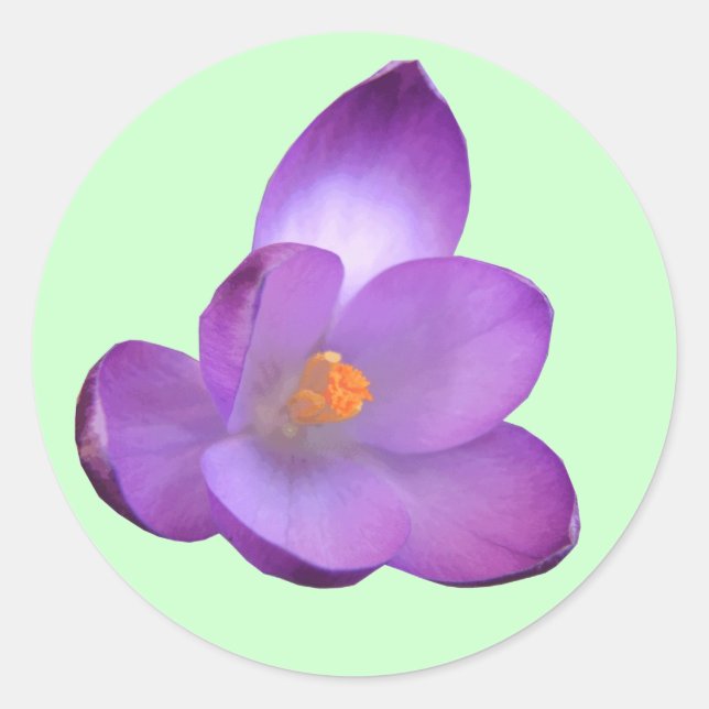 Adesivo Belo Vedante Crocus (Frente)
