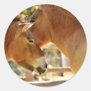 Adesivo Belos Cavalos