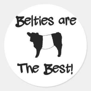 Adesivo Belties são a melhor vaca galloway