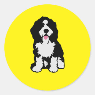 Adesivo Bernedoodle