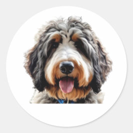 Adesivo Bernedoodle Sticker