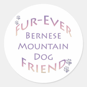 Adesivo Bernese Mountain Dog Fuere