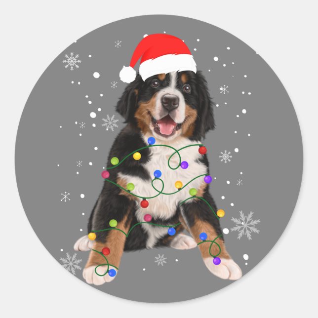 Adesivo Bernese Mountain Dog Ilumina Fama de Natal (Frente)