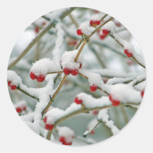 Adesivo Berries vermelhos na neve