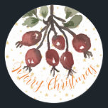 Adesivo Berry Merry Christmas Sticker<br><div class="desc">Vinhetas natalinas de Rosa de Aquarela pintadas com mão deliciosa. Desejo-lhe um Natal Berry Feliz. Todos os Designs de Criação de Cucumelon são protegidos por direitos autorais.</div>