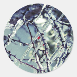 Adesivo Berry Sticker congelado