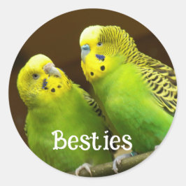 Adesivo Besties Green and Yellow Parakeets