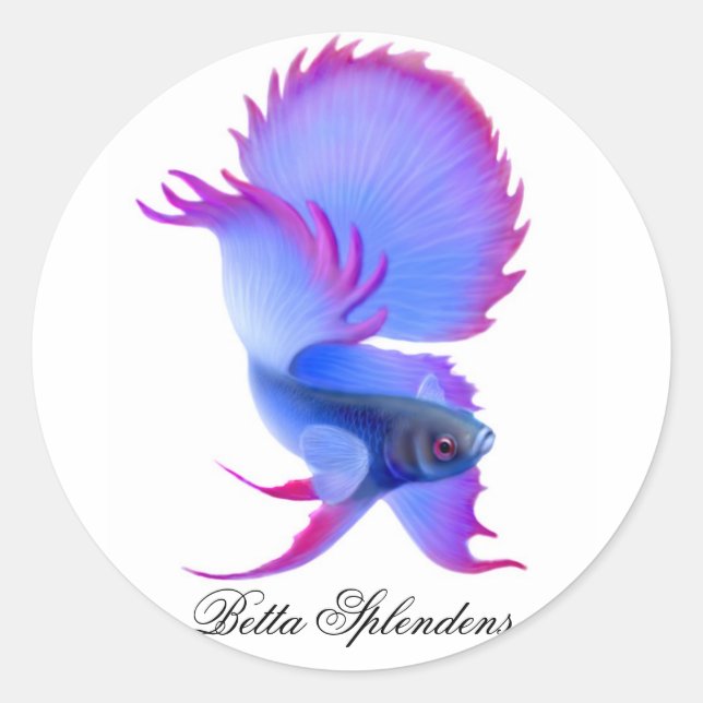 Adesivo Betta Fighting Fish Sticker (Frente)
