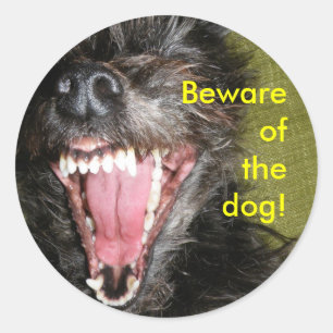Adesivo Beware do cão
