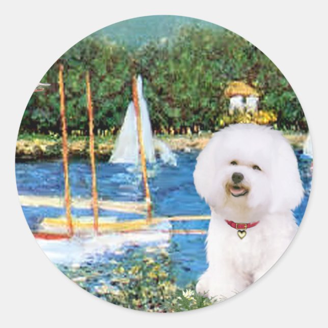 Adesivo Bichon Frise 1 - Velas 1 (Frente)