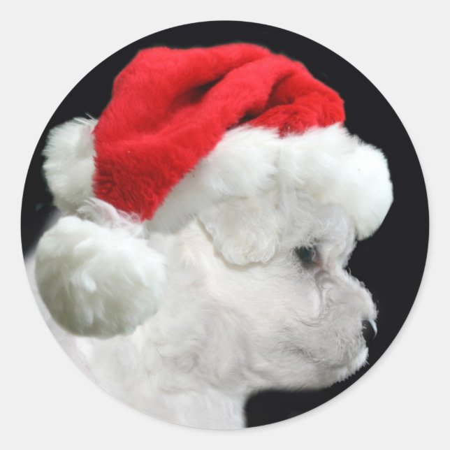Adesivo Bichon Frise Christmas (Frente)