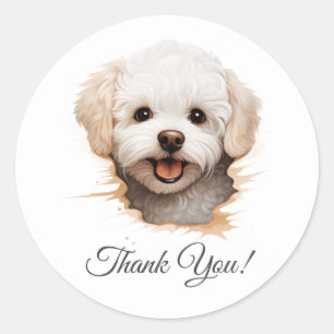 Adesivo Bichon Frise Dog Obrigado