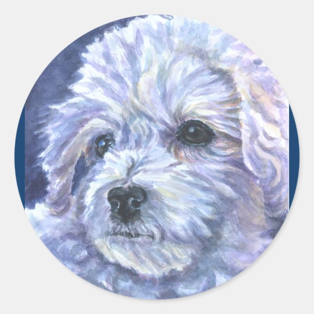 Adesivo Bichon Frise Stickers (Frente)