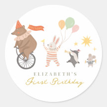 Bichos Cachorros Bandas Primeiro Aniversário