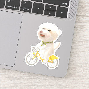 Adesivo Bicicleta de gato e de cão