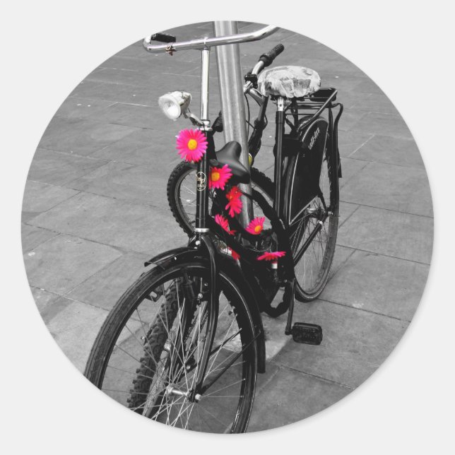 Adesivo bicicleta Oxford (Frente)