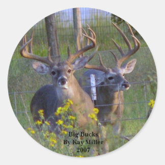 Adesivo Big BucksPor Kay Miller2007