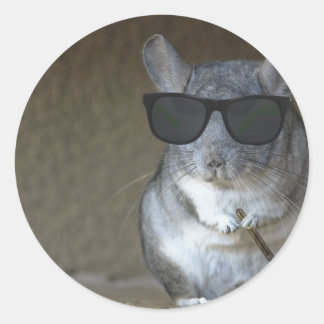 Adesivo Big Shot Chinchilla