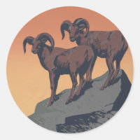 Bighorn Sheep American West Willife