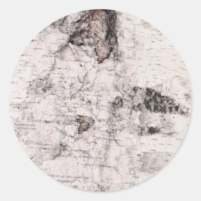 Adesivo Birch bark pattern classic round sticker (Frente)