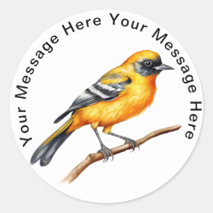 Adesivo Bird Stickers Personalizados Bonitos Baltimore Ori