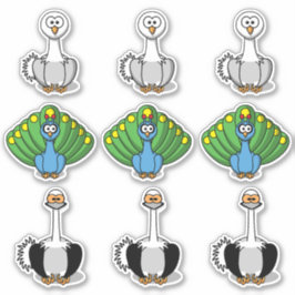 Adesivo Bird Swan, Peacock, Toque de Ostrich