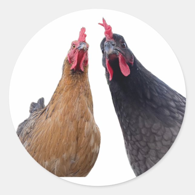 Adesivo Birds with Attitude Sticker (Frente)