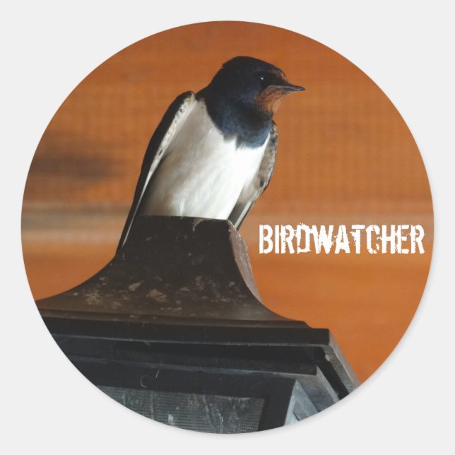 Adesivo Birdwatcher Swallow Photo Classic Round Sticker (Frente)
