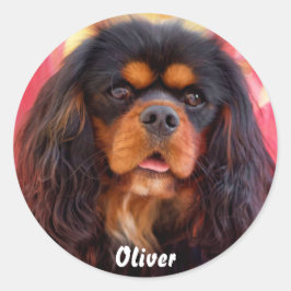 Adesivo Black and Tan Cavalier King Charles Spaniel Dog