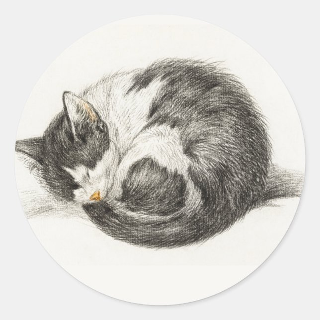Adesivo Black and white pencil drawing of a sleeping cat (Frente)