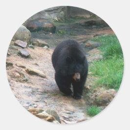 Adesivo Black Bear Americano