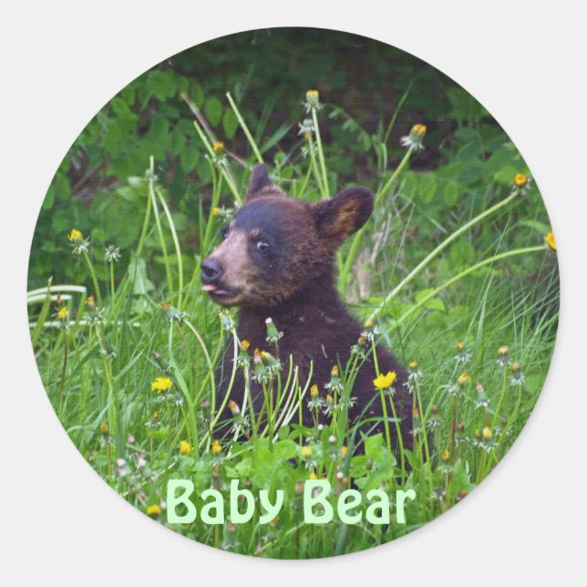 Adesivo Black Bear Cub Comendo Dandelions Foto (Frente)