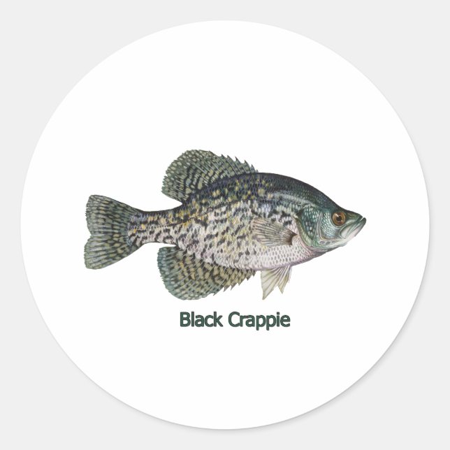 Adesivo Black Crappie (com título) (Frente)