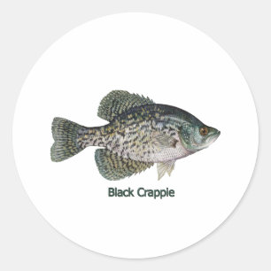 Adesivo Black Crappie (com título)