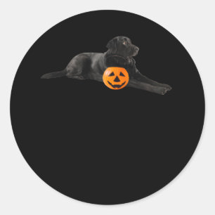Adesivo Black Lab Mutpy Dog Halloween Pumpkin Jack O