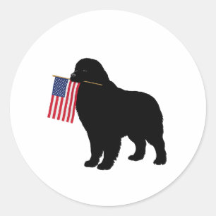 Adesivo Black Newf Dog Holding USA Flag - 4 de julho Patri
