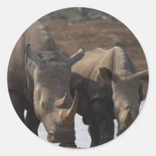 Adesivo Black Rhinos Sticker