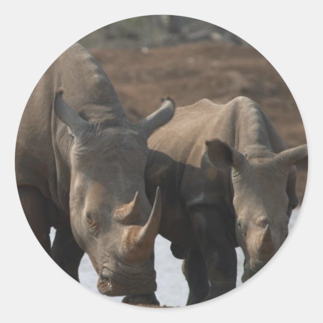 Adesivo Black Rhinos Sticker (Frente)