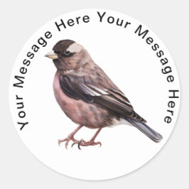 Adesivo Black Rosy Finch