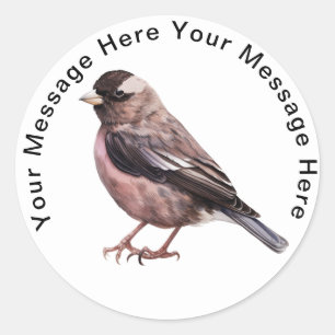 Adesivo Black Rosy Finch