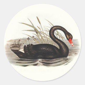 Adesivo Black Swan Vintage