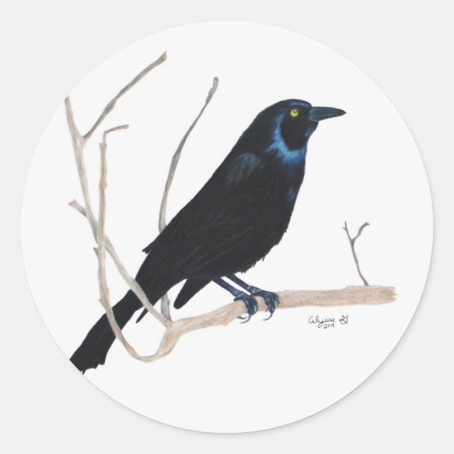 Adesivo Blackbird Sticker (Frente)