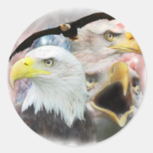 Adesivo Blad Eagles