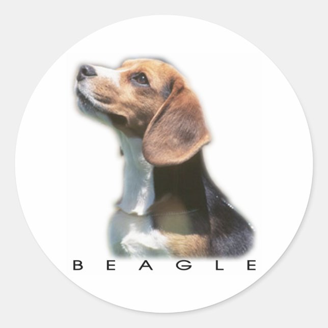 Adesivo Bleagle (Frente)