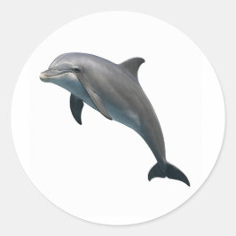 Adesivo Bliss de Bottlenose