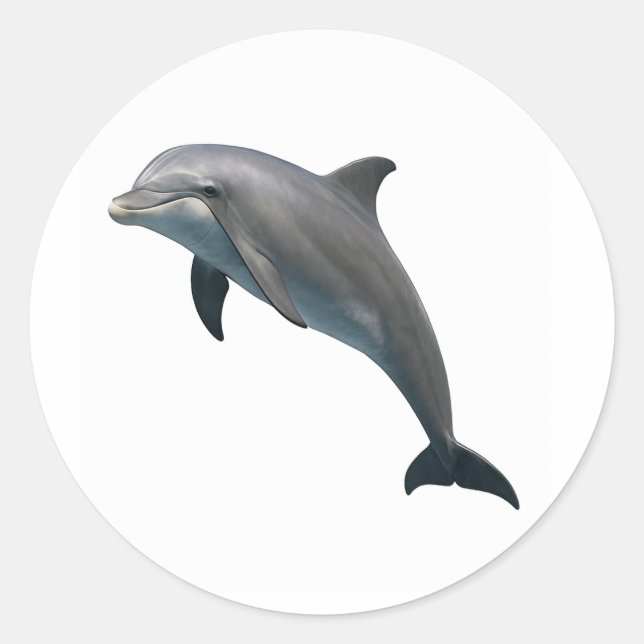 Adesivo Bliss de Bottlenose (Frente)