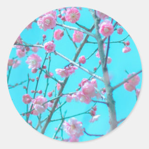 Adesivo Blossomas de ameixa (Suzhou, China)