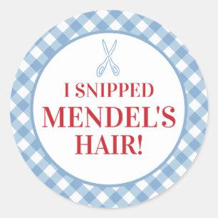 Adesivo Blue Gingham Upsherin "Cortei O Cabelo Dele!" Ades