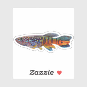 Adesivo Blue gularis Fundulopanchax sjostedti peixe anual